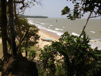 Bild vom Strand der Insel Marajo in Brasilien